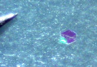 Here is the hex crystal,  item #281 looking dark purple with a green flash.  60x