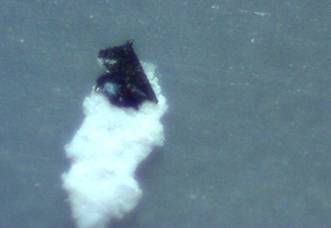 Morgellons Photo Journal - Some of the black particles have a whimsical shape.  I call this one  "Warthog on a Cloud"  60x