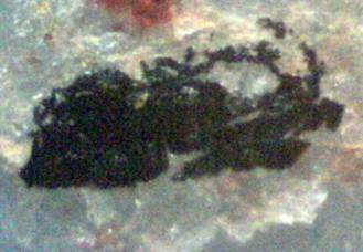 Morgellons Photo Journal - This huge black cluster looks somewhere between a clump of particles and a strand.  200x