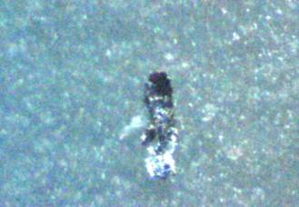 Metal fragments found in Morgellons lesions.  200x